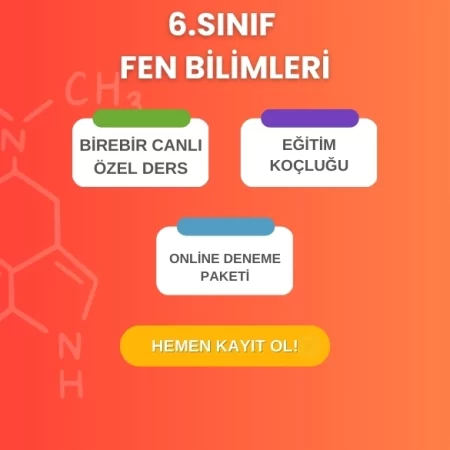 6. Sınıf Fen Bilimleri Kursu