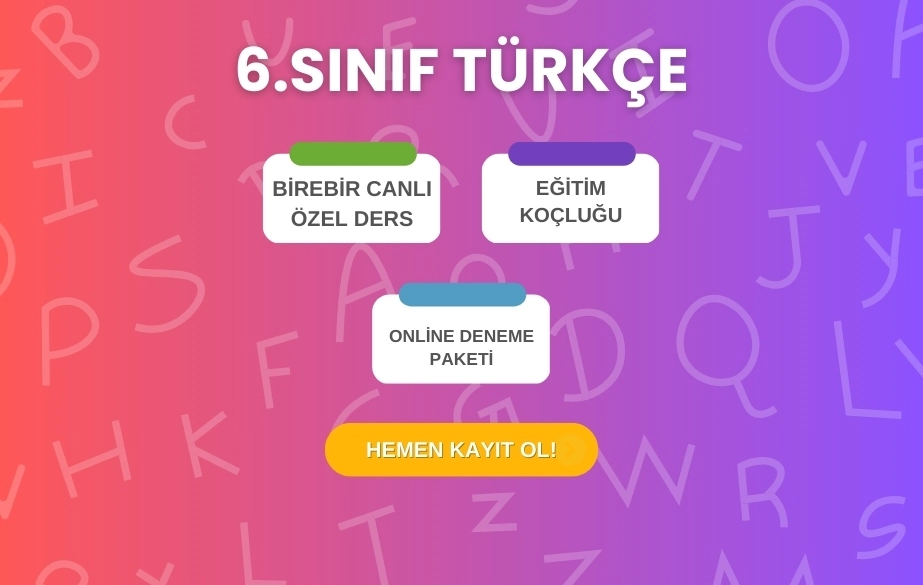 6-sinif-turkce-kursu