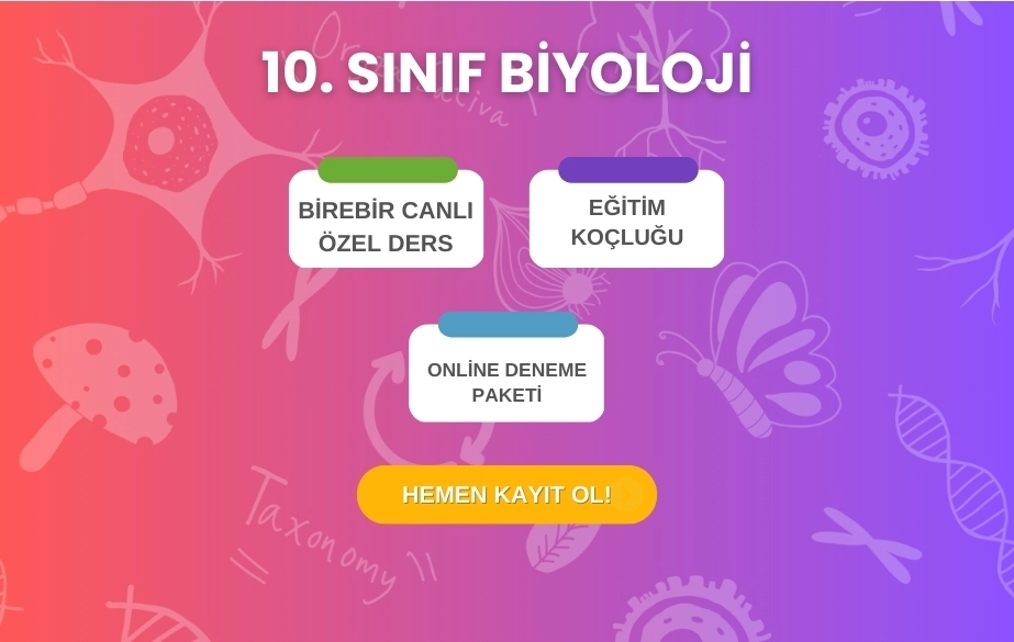 10-sinif-biyoloji-kursu 10-sinif-biyoloji-kursu