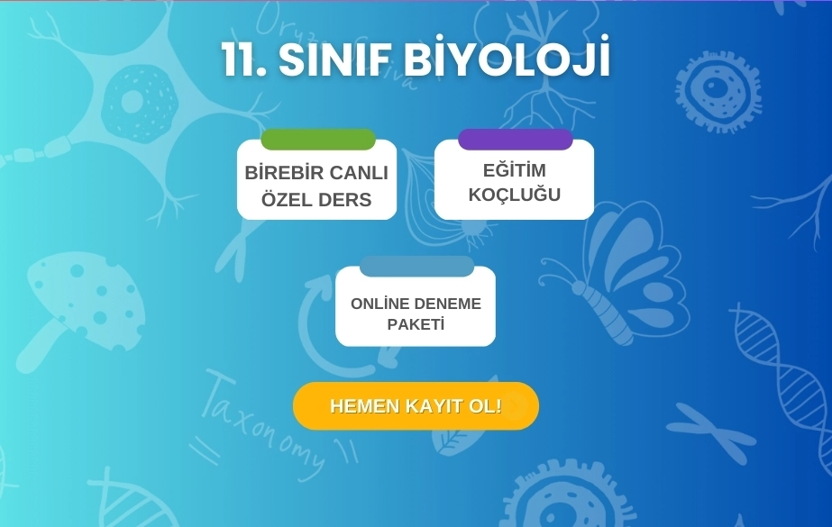 11-sinif-biyoloji-kursu 11-sinif-biyoloji-kursu