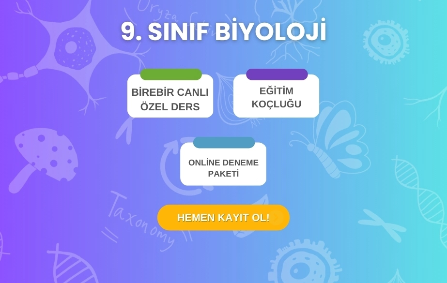 9-sinif-biyoloji-kursu 9-sinif-biyoloji-kursu