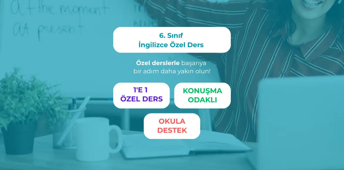 ortaokul-altinci-sinif-ingilizce-ozel-ders