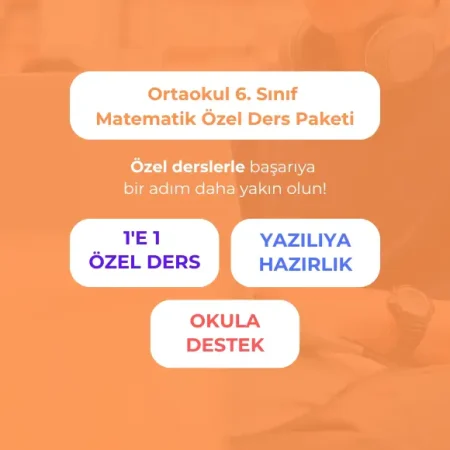 Ortaokul 6. Sınıf Matematik Özel Ders