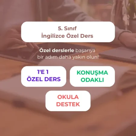 Ortaokul 5. Sınıf İngilizce Özel Ders